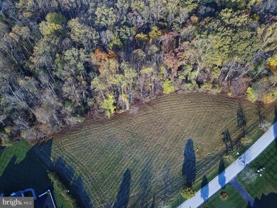 4011 Cloverland Dr, Phoenix, MD 21131 - photo 6