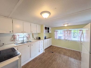 5219 Peninsula St, Zephyrhills, FL 33541 - photo 5