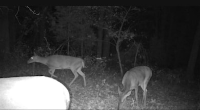 840 Miller Rd, Ola, AR 72853 - photo 5