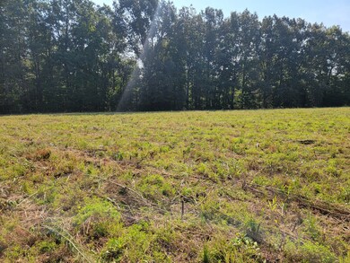 0 Farrrah Hill Rd, Manchester, TN 37355 - photo 2