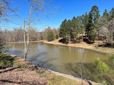 898 Burnt Gin Rd, Gaffney, SC 29340 - photo 5