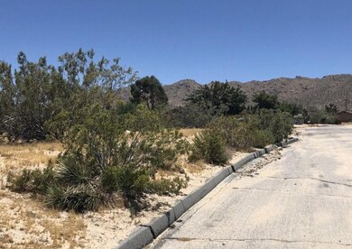 108 Granada Dr, Joshua Tree, CA 92252 - photo 4