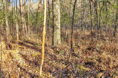 0 County Road Gg unit 50317557, Iola, WI 54945 - photo 5