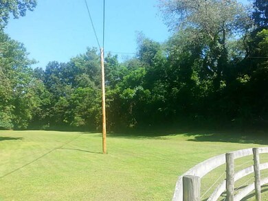 Yard/Garden.