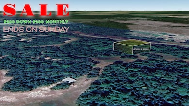 Fort Mc Coy unit FL 32134, Fort McCoy, FL 32134 - photo 2