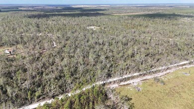 *Vacant* SE River Rd, Lee, FL 32059 - photo 5