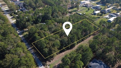 TBD Volga Dr, Porter, TX 77365 - photo 3