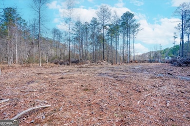 0 John Kay Rd unit 10451216, Taylorsville, GA 30178 - photo 7