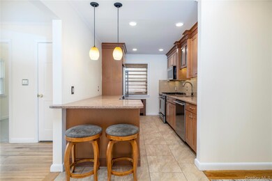 60 Chestnut St unit 2, Rockville Centre, NY 11570 - photo 6