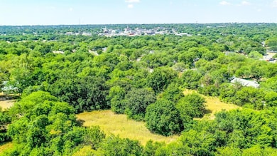 407 Edna St, Weatherford, TX 76086 - photo 6