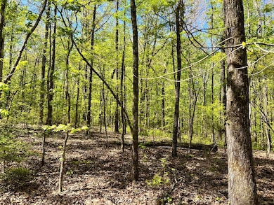 00 Weoka Rd, Wetumpka, AL 36093 - photo 4