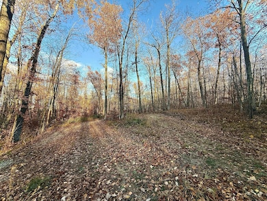 TBD NW Turtle Ln, Walker, MN 56484 - photo 4