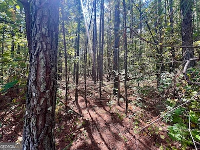 1150 Denton Rd, Douglasville, GA 30134 - photo 3