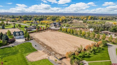 Lot 2 Nectar Ct, Montrose, CO 81403 - photo 4