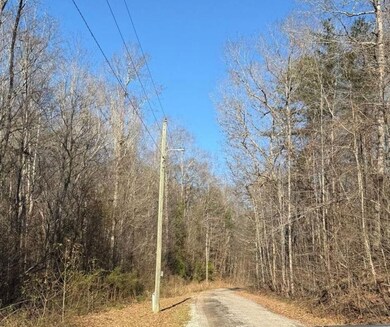 0 Williams Bridge Rd unit 25752991, Toccoa, GA 30577 - photo 3