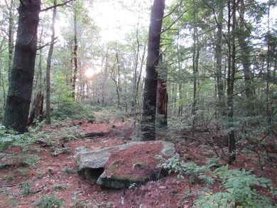 7 Stadler Heights, Winsted, CT 06098 - photo 5