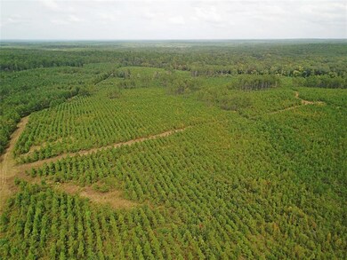 TBD Farm To Market Road 698, Nacogdoches, TX 75964 - photo 4