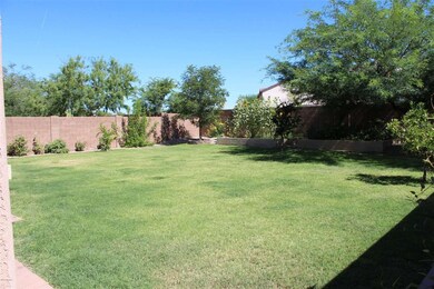 Back Yard Pic1