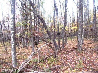 7 Emerald, Mount Storm, WV 26739 - photo 3