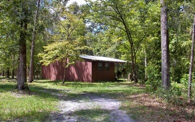 3115 SW Wilson Springs Rd, Fort White, FL 32038 - photo 4