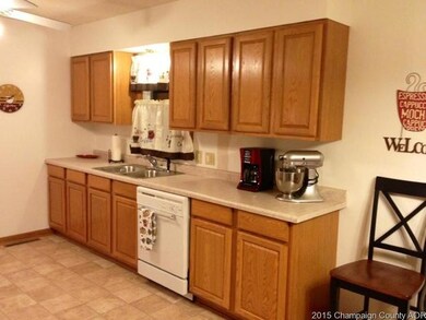 210 E Overton St, Tuscola, IL 61953 - photo 3