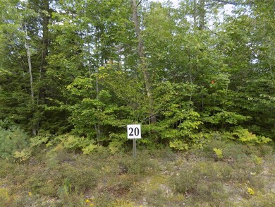 Lot 20 Pemigewasset Dr, Conway, NH 03813 - photo 2