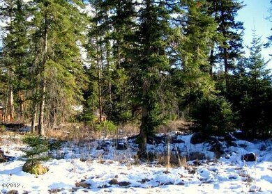 176 Crescent Moon, Bigfork, MT 59911 - photo 2