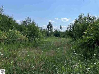 0 Esmond Rd unit 1890923, Hale, MI 48739 - photo 2