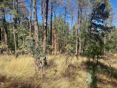 0 Dixwood Dr unit 171905, Timberon, NM 88350 - photo 3