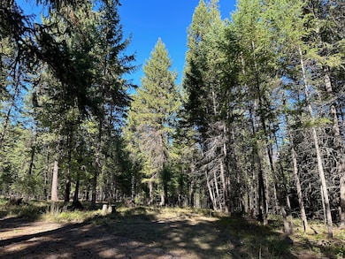 26 Tamarack Dr, Thompson Falls, MT 59873 - photo 2