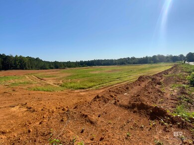 0 St Hwy 59 Hwy unit 1 380398, Bay Minette, AL 36579 - photo 2