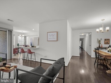 11248 Chestnut Grove Square unit 249, Reston, VA 20190 - photo 5