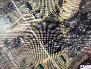 Lot 7 & 8 David Ln, Wallace, SC 29596 - photo 3