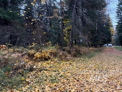 View of tree filled area