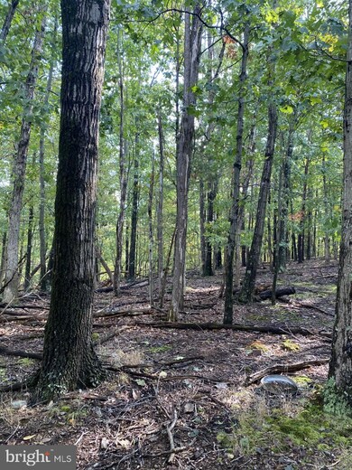 265 Balmoral Ln, Gainesboro, VA 22603 - photo 5