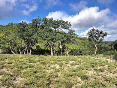 10702 Nina Ridge, San Antonio, TX 78255 - photo 3