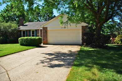 Driveway & mature trees.
