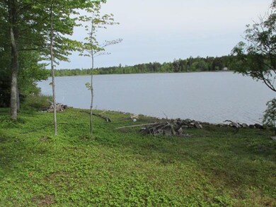 IMG_0405