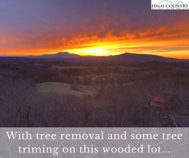 NOTE: Picture taken from neighboring lot to demons