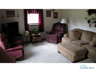 125 Pine St, West Unity, OH 43570 - photo 6