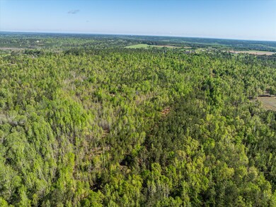 05-DJI_0641-HDR