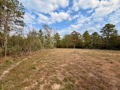 7629 Trinity Pines Dr, Montgomery, TX 77316 - photo 3