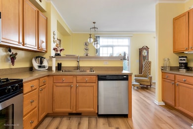 20524 Mcgilvray Dr, Crest Hill, IL 60403 - photo 5