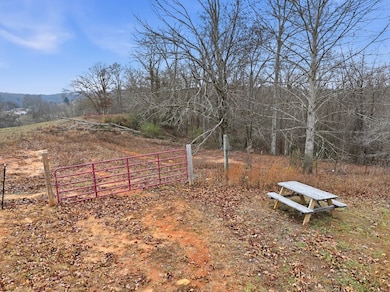 5.01 ac Ada St, Blue Ridge, GA 30513 - photo 3