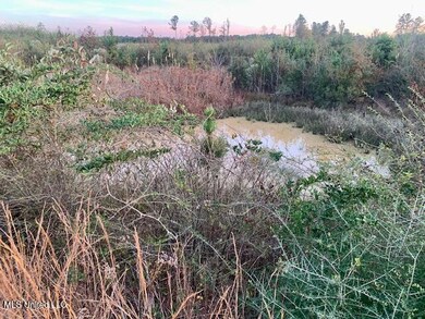 1906 Wildwood Ln SE, Ruth, MS 39662 - photo 7