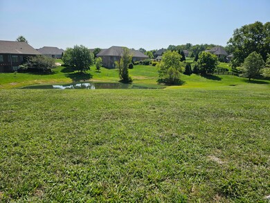 207 Morgan Ct, Nicholasville, KY 40356 - photo 5