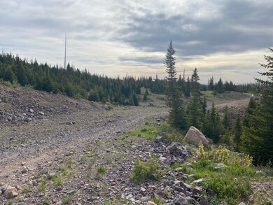 938 E Steam Engine Dr unit LOT 29, Brian Head, UT 84719 - photo 5