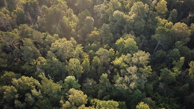 0 Sumrall Rd unit 24629682, Crystal Springs, MS 39059 - photo 2