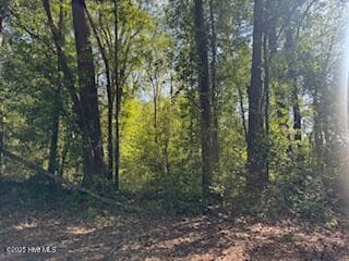 0 5th St unit 100501693, Hamlet, NC 28345 - photo 6