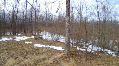 3180 Tice Trail, Lincoln Township, MI 48625 - photo 6